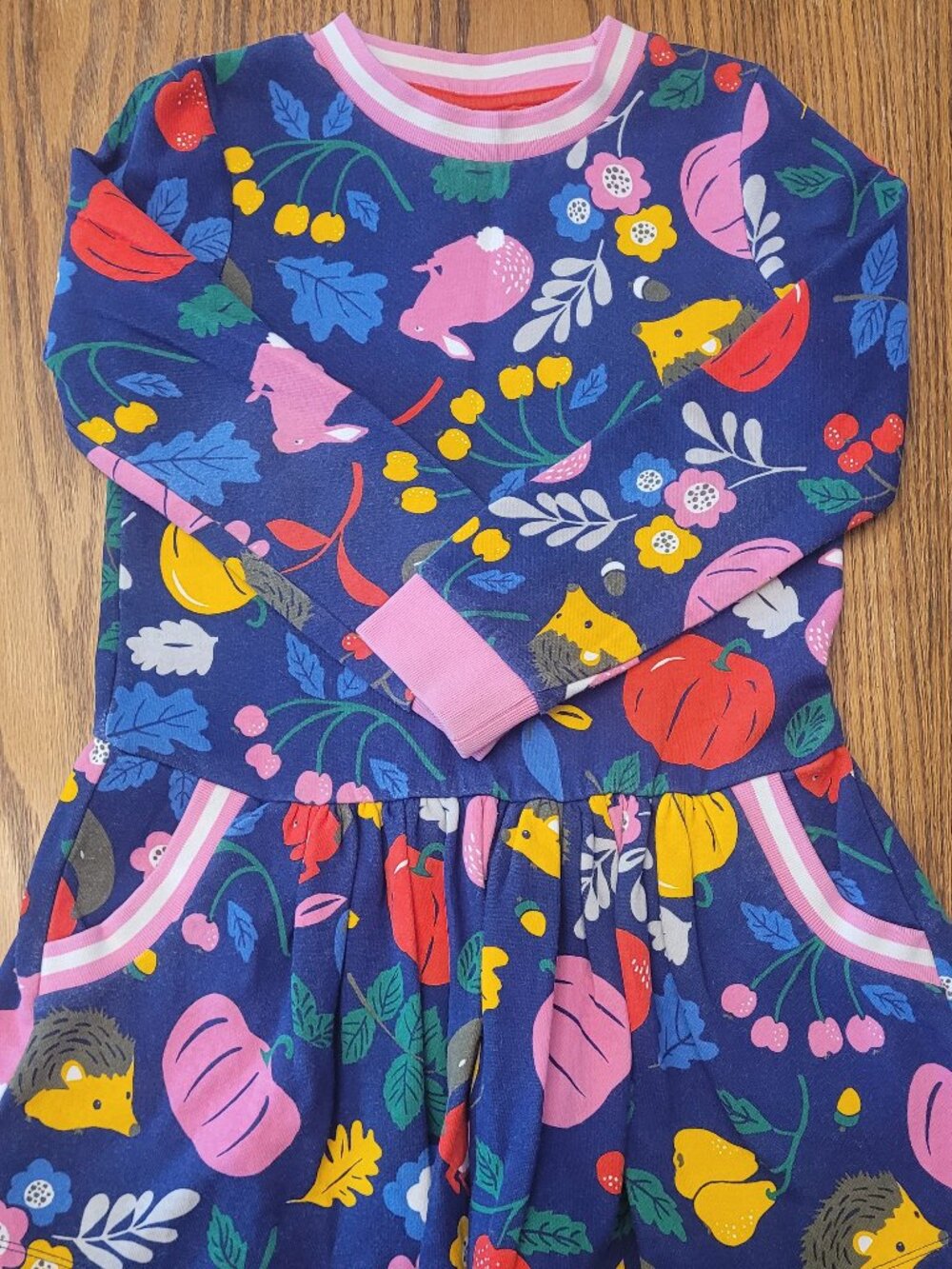 Mini Boden Halloween Fall Pumpkin Sweatshirt Dress - 7-8 - Leaves Hedgehog Bunny